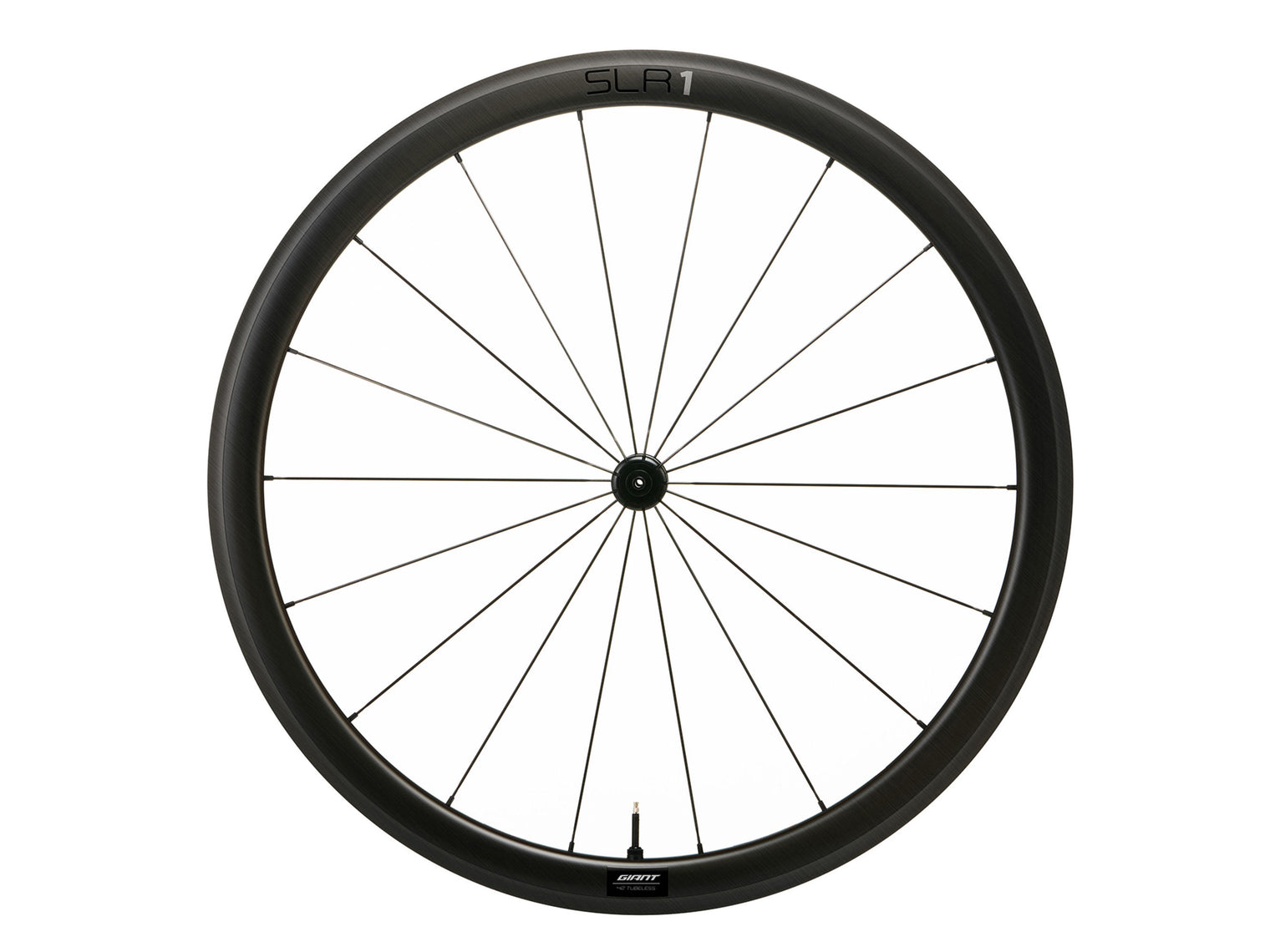 Giant SLR 1 42 Front Wheel - Rim Brake/hookless